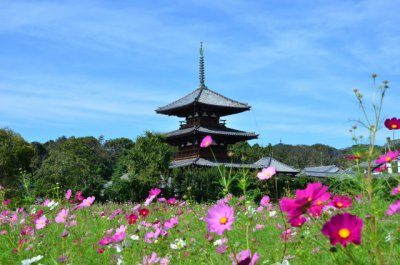 木造住宅 が持つ主なデメリットを解消する 高断熱高気密 の新築住宅 もっとドモシカを知る ドモシカハウス 高松の圧倒的高性能 低価格注文住宅 新築 住宅を建てるなら